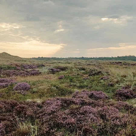 Cozy House In Ålbæk