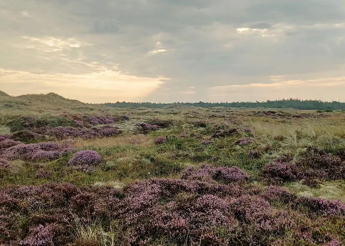 Cozy House In Ålbæk